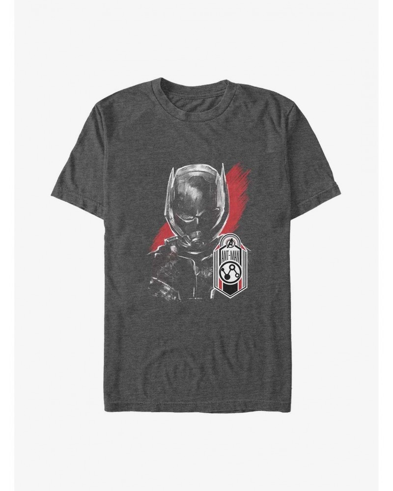 Marvel Avengers: Endgame Ant-Man Tag Big & Tall T-Shirt $8.85 T-Shirts