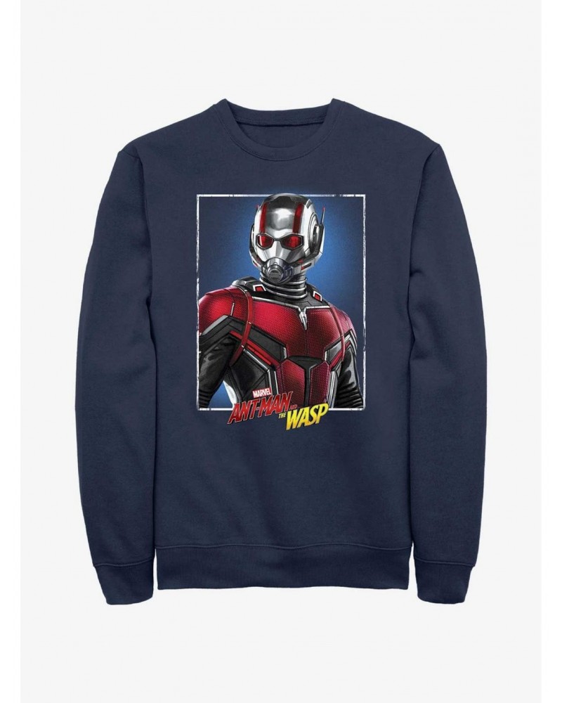 Marvel Ant-Man and the Wasp: Quantumania Antman Portrait Sweatshirt $13.87 Sweatshirts