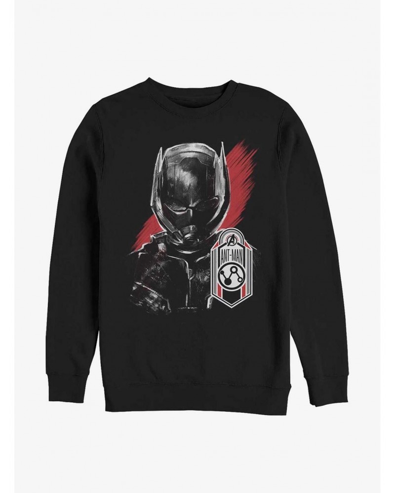 Marvel Ant-Man Tag Sweatshirt $10.33 Sweatshirts